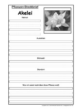 Pflanzensteckbrief-Akelei-SW.pdf